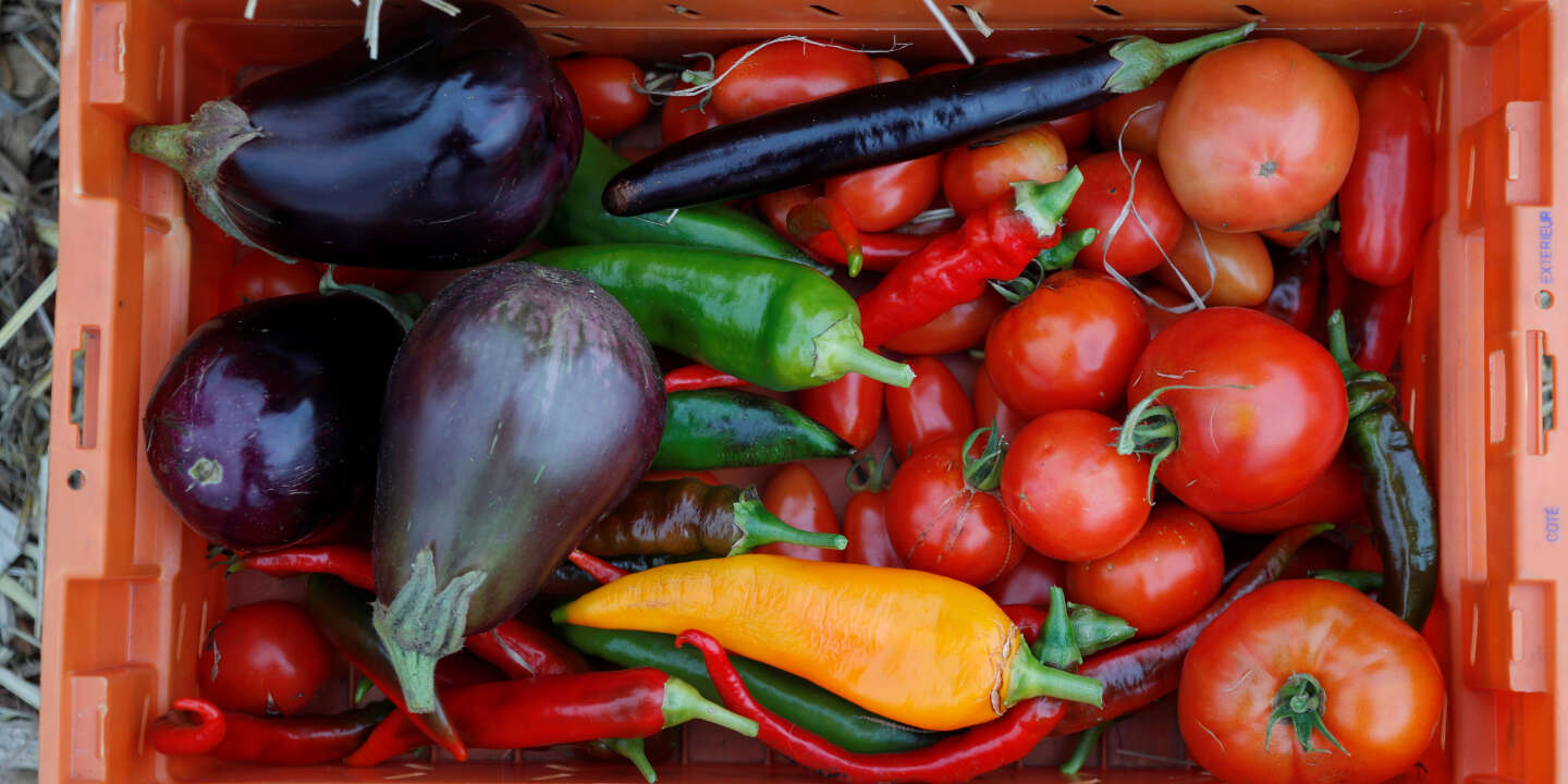 Une nouvelle campagne pour valoriser les légumes prêts-à-cuisiner