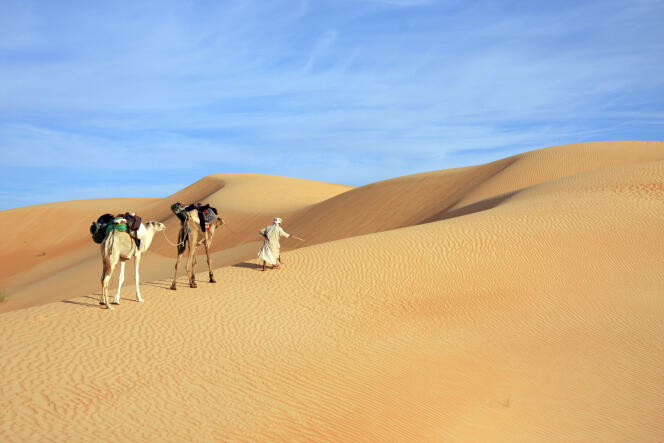Dunes, oasis et canyons profonds font du désert de l’Adrar l’un des plus beaux du monde.