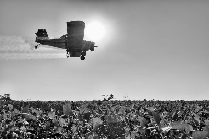 Un avion procède à la fumigation d’un champ de soja à Avia Terai, en Argentine, en mai 2014.