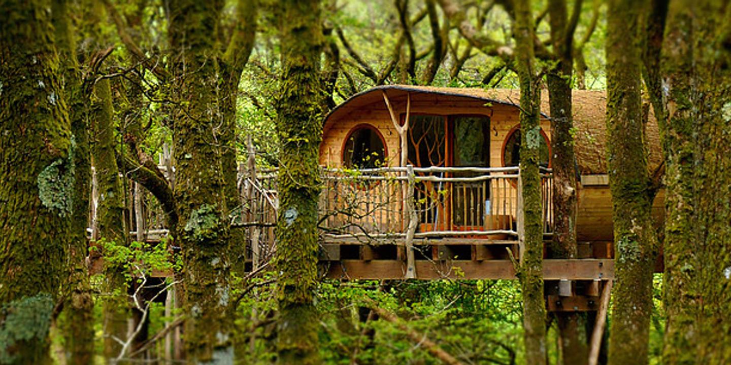 L Appel De La Foret Cinq Hotels Pour Se Reveiller Dans Les Bois
