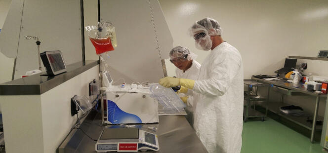 Un spécialiste de la thérapie génique dans un laboratoire d’El Secondo, près de Los Angeles, en Californie.