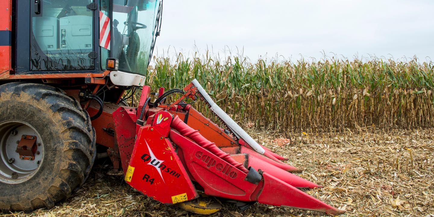30 Des Agriculteurs Gagnent Moins De 350 Euros Par Mois Scandale Ou Pas