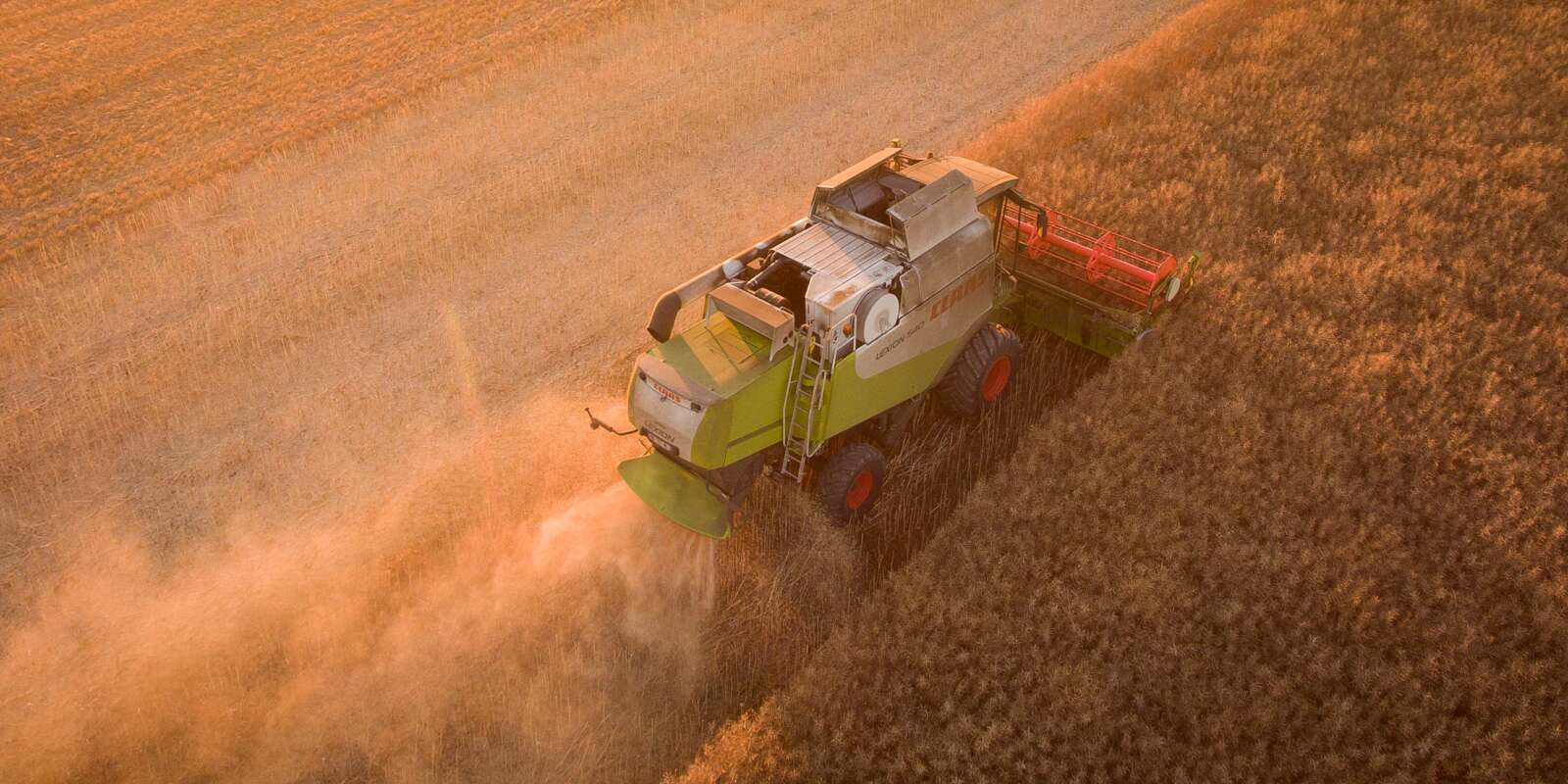 (FILES) This file photo taken on July 05, 2017 shows an aerial view of a combine harvester during a rape harvest on July 4, 2017 near Monthodon, central France. French Ecology Minister Nicolas Hulot said on Novemver 8, 2017 that France won't vote to extend the glyphosate licence more than three years. The European Commission said on November 27, 2017 it will ask EU countries to vote next month on a proposal to renew for five years instead of 10 the licence for the controversial weedkiller glyphosate. / AFP PHOTO / GUILLAUME SOUVANT