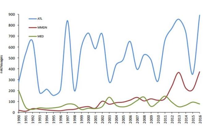 Distribution annuelle des 18 533 échouages de cétacés entre 1990 et 2016 répartis par façade (en bleu, atlantique ; en rouge, Manche et mer du Nord ; en vert, Méditerranée).