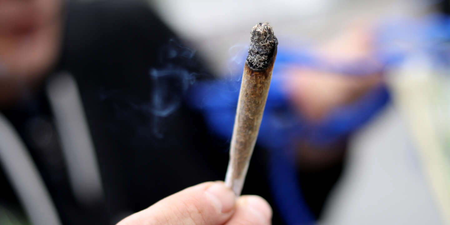 Cannabis : que risquera-t-on demain pour avoir fumé un joint ?