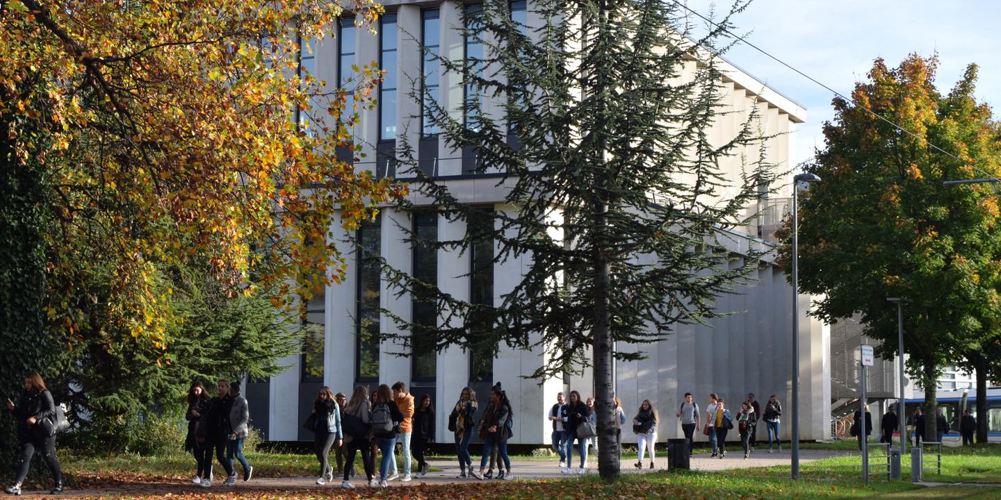 41 6 Des Bacheliers Reussissent Leur Premiere Annee De Licence