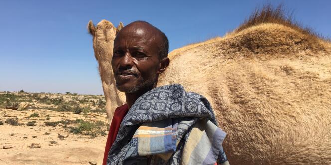 Au Somaliland, Gedi, pasteur nomade, a perdu près de la moitié de ses dromadaires avec la sécheresse.