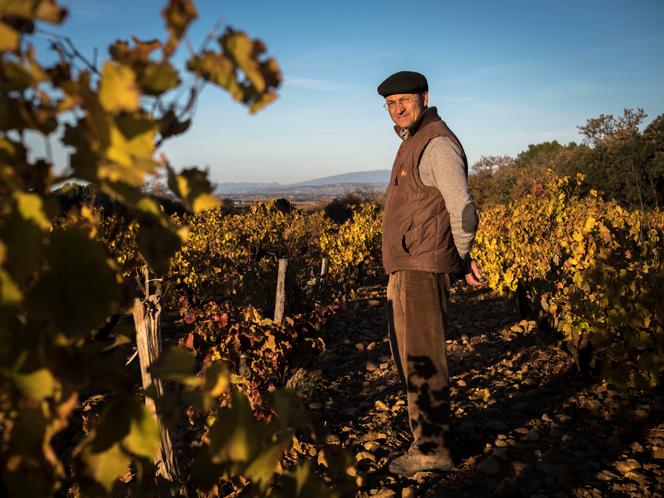 Emmanuel Reynaud, au milieu des vignes du Château Rayas, à Chateauneuf-du-Pape (Vaucluse), en 2017.