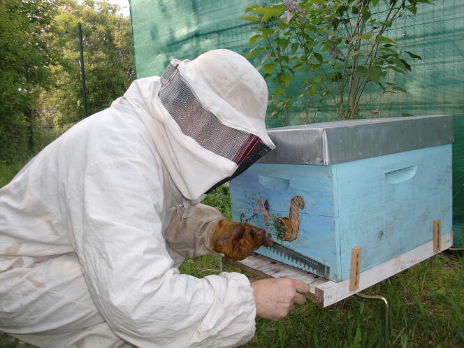 Les ruches colorées de Jean-Michel Normand, dans le Gâtinais.
