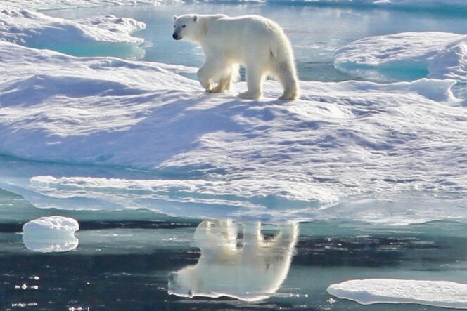 « 15 000 scientifiques du monde entier nous disent que le temps presse, qu’il sera bientôt trop tard, qu’à ce rythme, nous n’atteindrons pas l’objectif de maintenir le réchauffement climatique en dessous de 2 °C d’ici à la fin du siècle. »