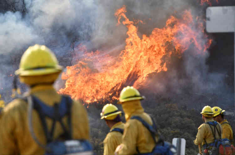 Sur le flanc nord de l’incendie Thomas, à Ojai, le 9 décembre. C’est l’un des 20 plus gros incendies dans l’histoire de la Californie, selon l’ONG Climate Nexus.