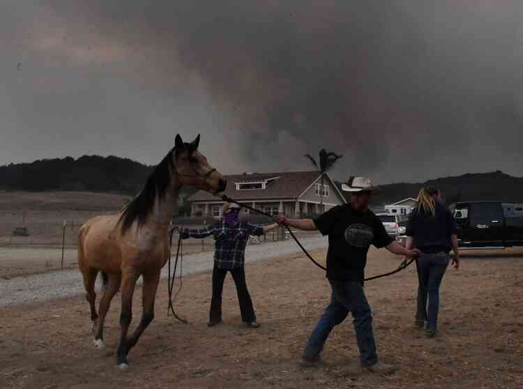 Les chevaux du Laughing Dog Ranch à Ojai ont été évacués le 9 décembre.