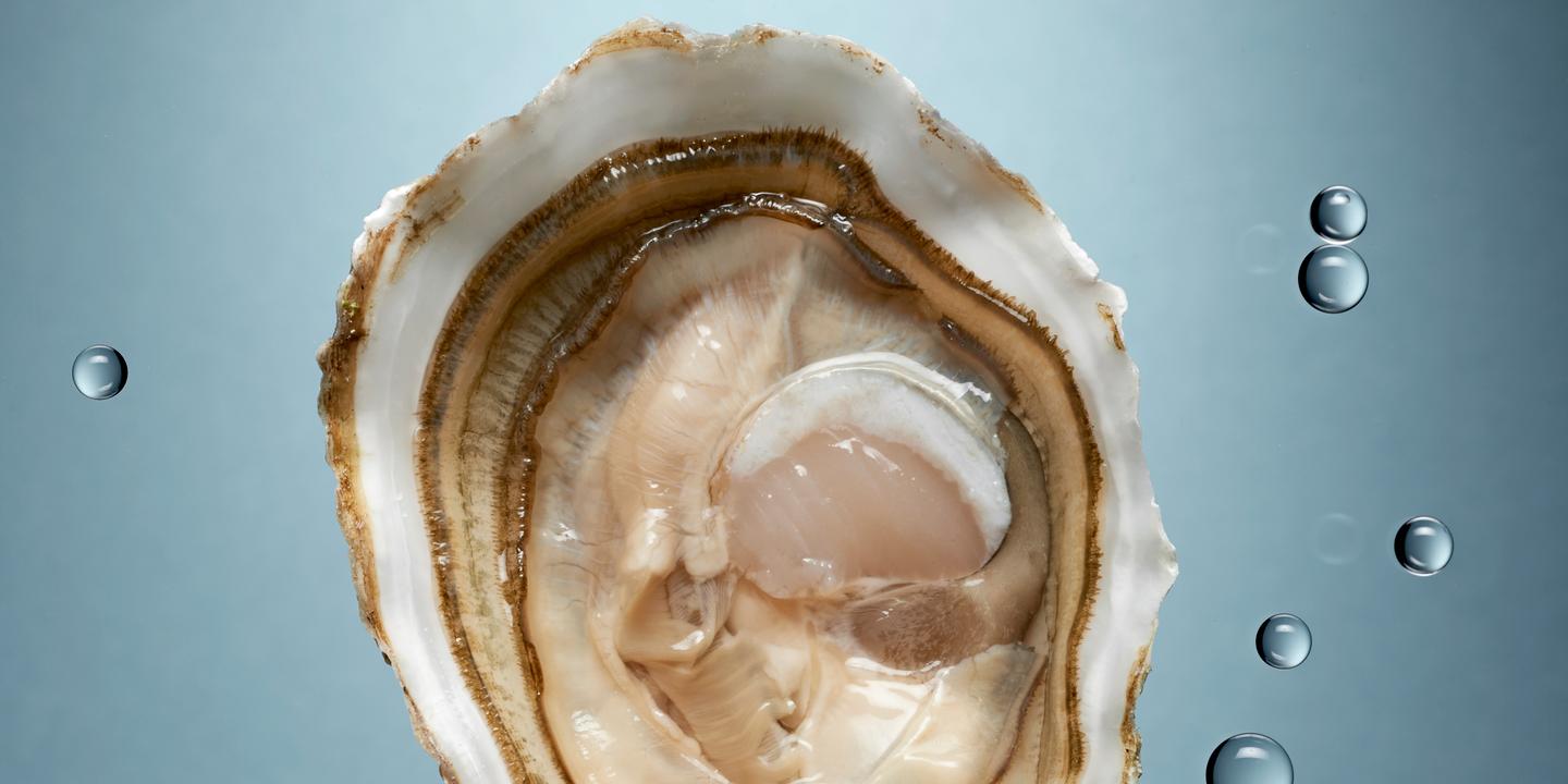 Les Huitres De L Iode En Coquille
