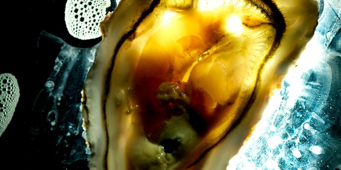 Huitre Ou Ne Pas Huitre