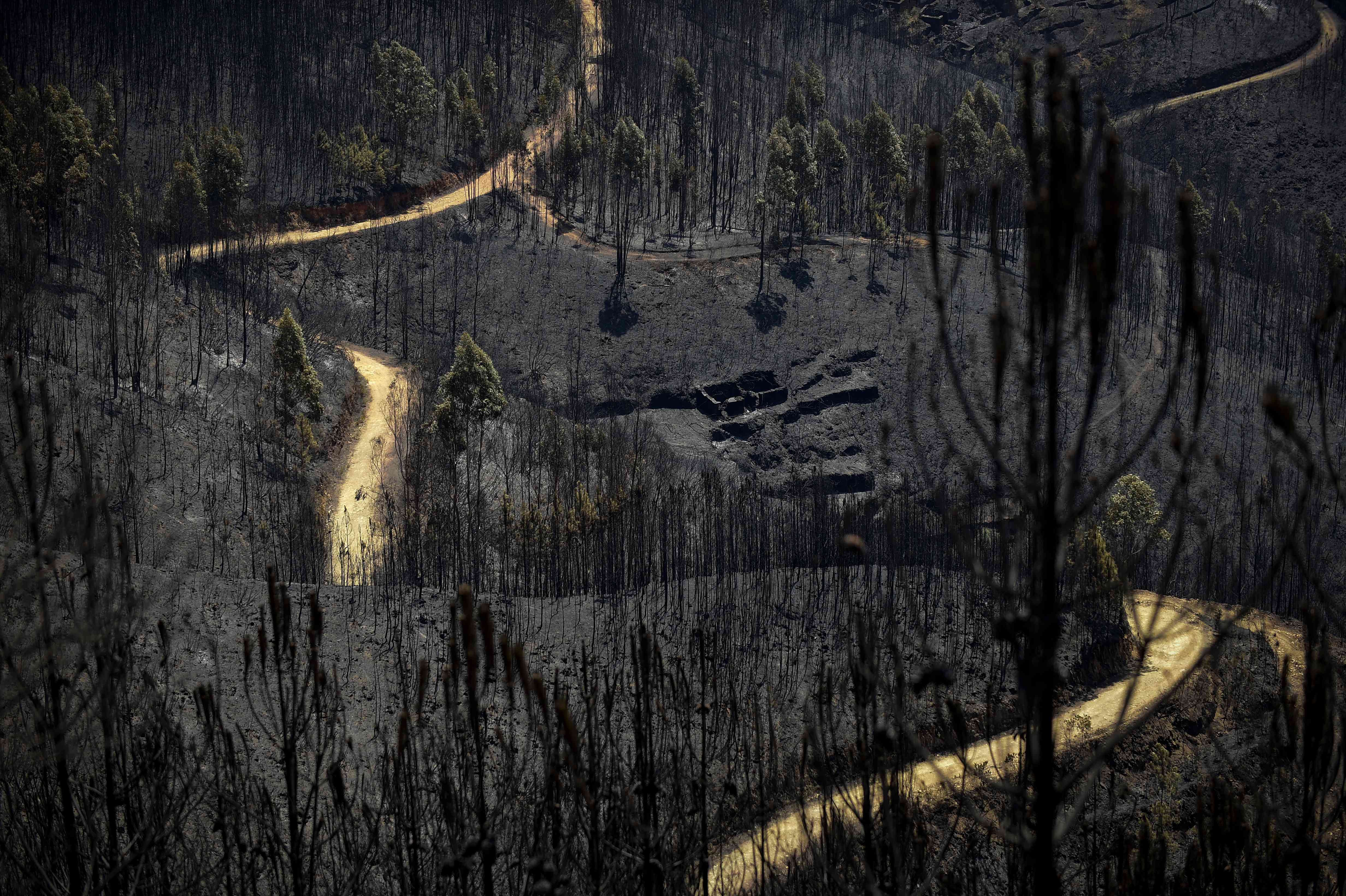Une route serpente dans une zone boisée et brûlée par un feu de forêt à Vale do Cambra, à environ 30 kilomètres de Pedrograo Grande. Le grand feu de forêt qui a embrasé le 17 juin le centre du Portugal a tué soixante-quatre personnes et en a blessé cent trente-cinq autres. Beaucoup d’entre elles ont été prises au piège par les flammes dans leur voiture.