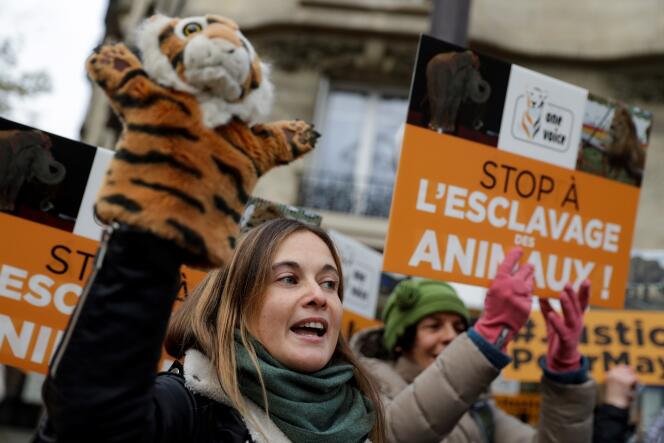 Une manifestation pour protester contre l’exploitation des animaux sauvages dans les cirques à Paris, le 2 décembre 2017.