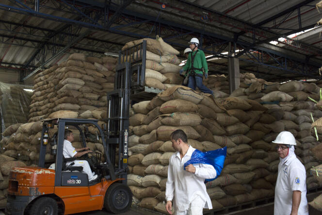Stockage de fèves de cacao à l’usine du Grupo Nutresa à Medellin, en Colombie, le 8 juin.