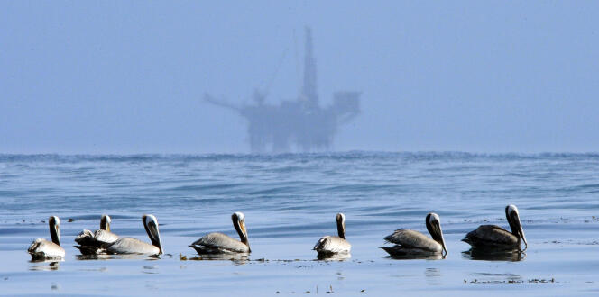 En mai 2010, une plateforme pétrolière offshore au large du canal de Santa Barbara en Californie.