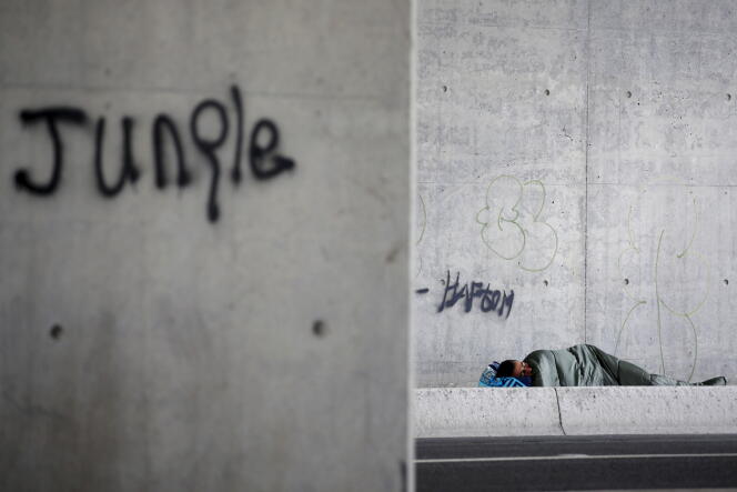 Un migrant dort sous un pont à l’entrée de la « nouvelle jungle », à Calais, le 9 août 2015.