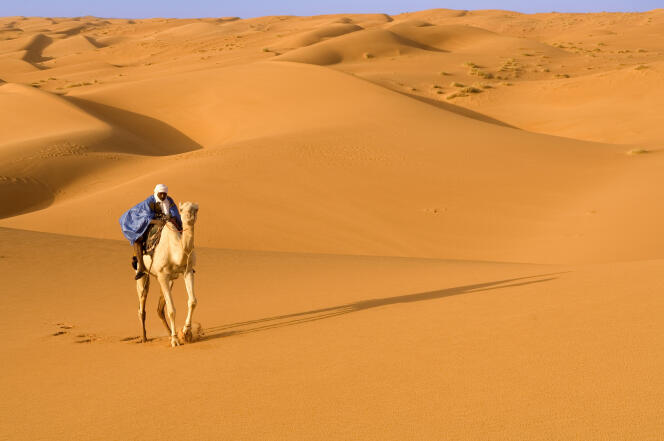 El polvo mineral más pequeño del Sahara puede transportarse a miles de kilómetros.
