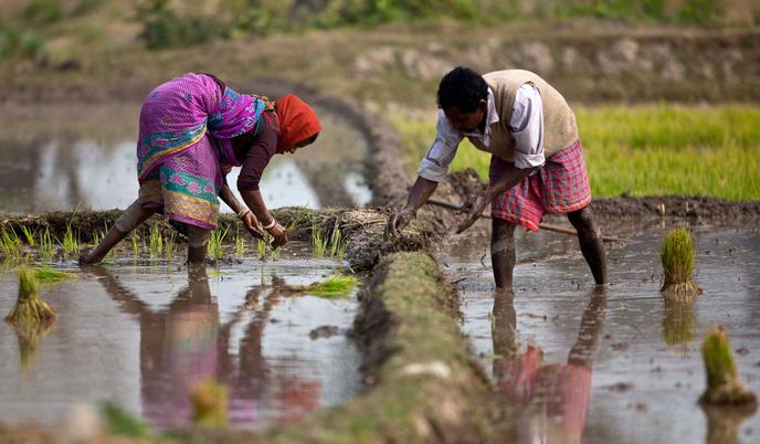 Raccorder des sites en Inde