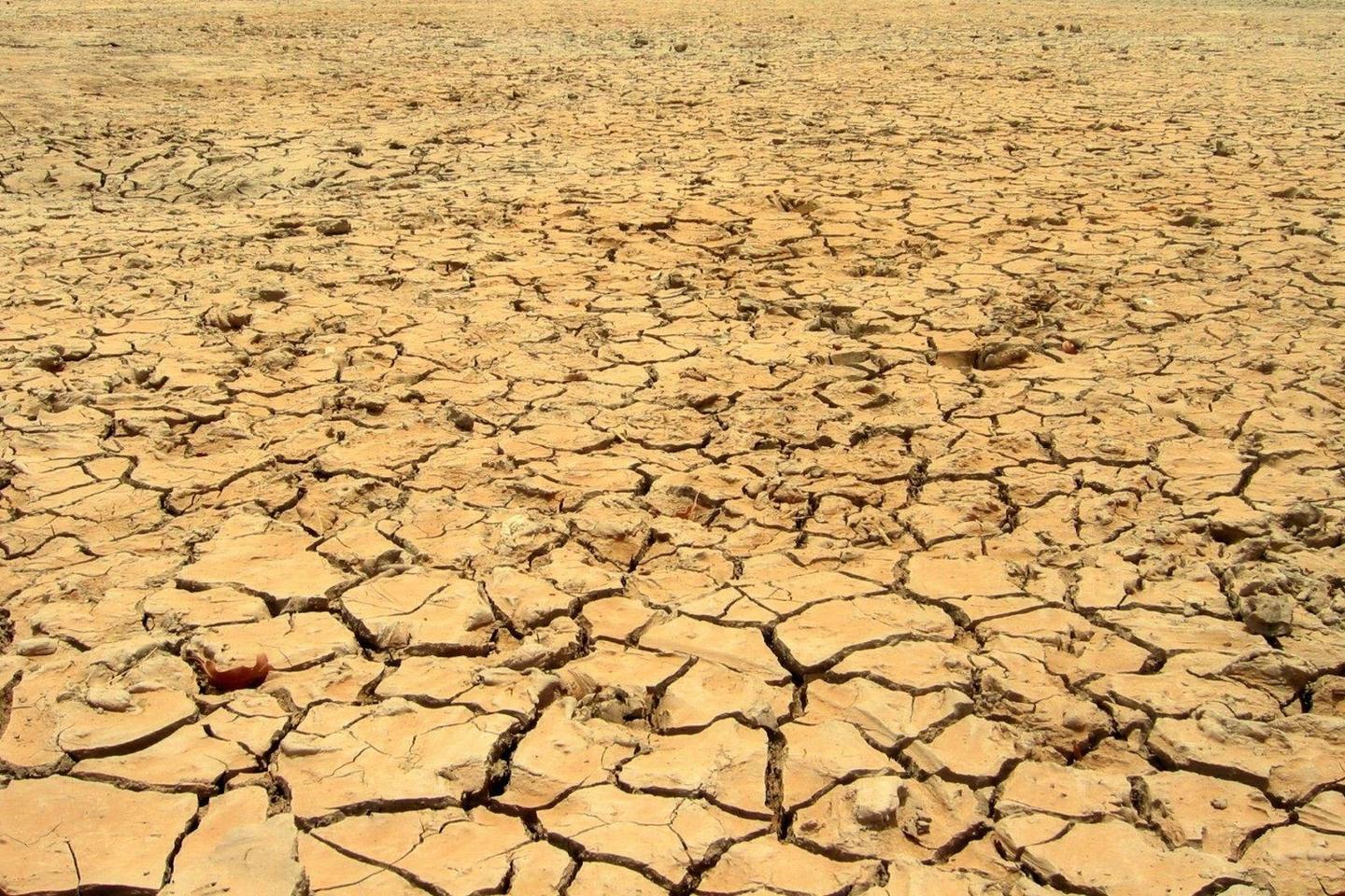 Comme au Cap aujourd’hui, des centaines de villes pourraient manquer d’eau en 2050