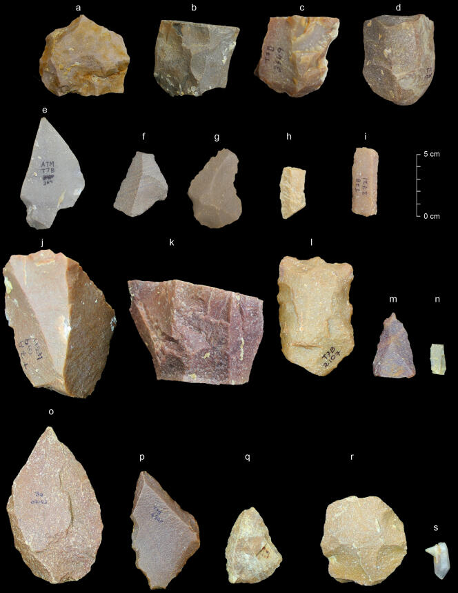 Quelques pierres taillées du Paléolithique moyen du site d’Attirampakkam, en Inde.