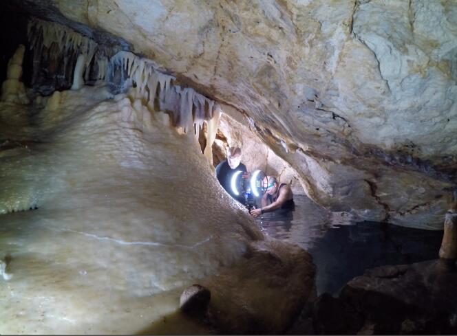 Travaux de numérisation dans la grotte Cosquer, en 2018, dans le massif des Calanques (Bouches-du-Rhône).