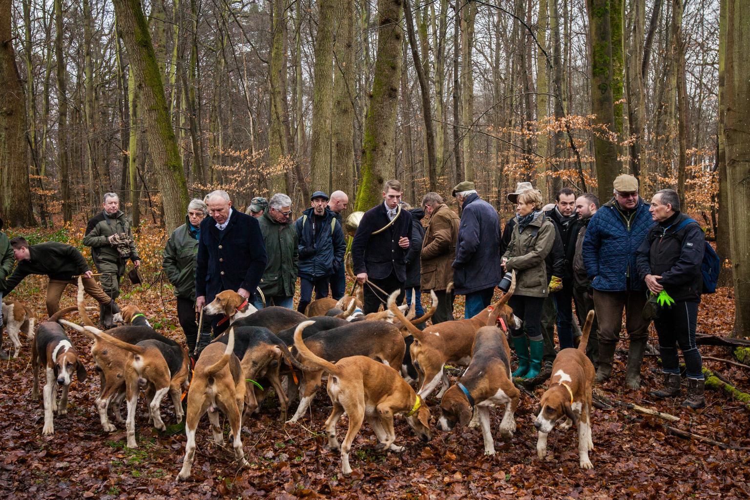 CPA Ancienne - Forêt De Compiègne - Chasse à Courre Équipage De Chézelles (Oise)