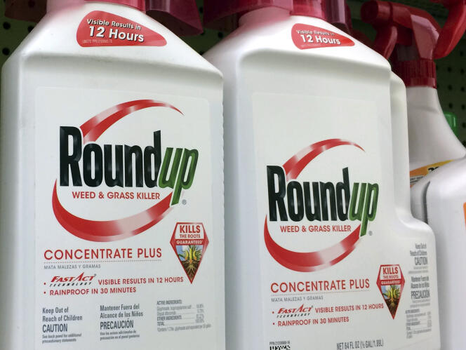 Le Roundup, commercialisé par Monsanto, est un herbicide contenant du glyphosate.