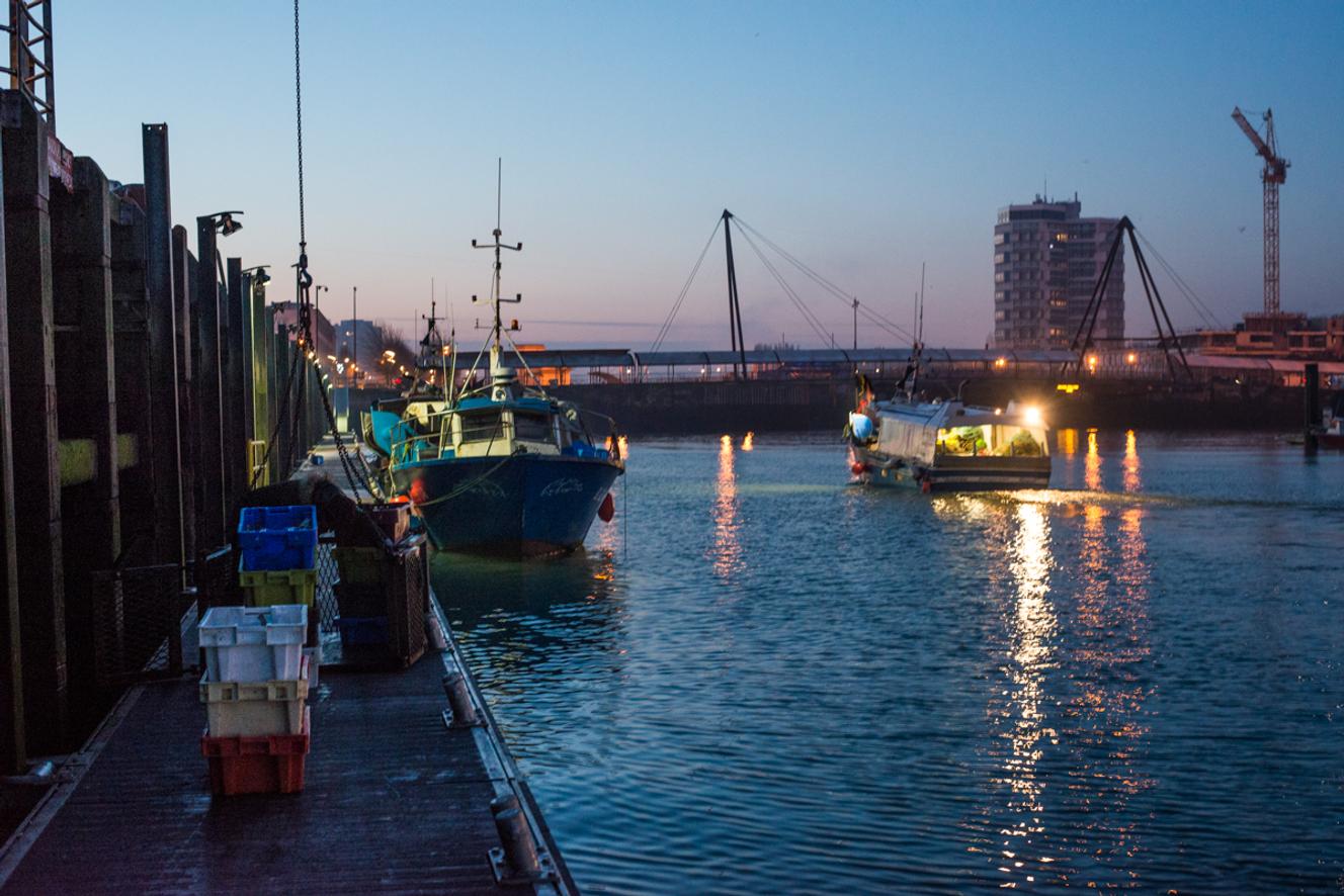 A BoulognesurMer, le désarroi des pêcheurs face aux chalutiers électriques néerlandais