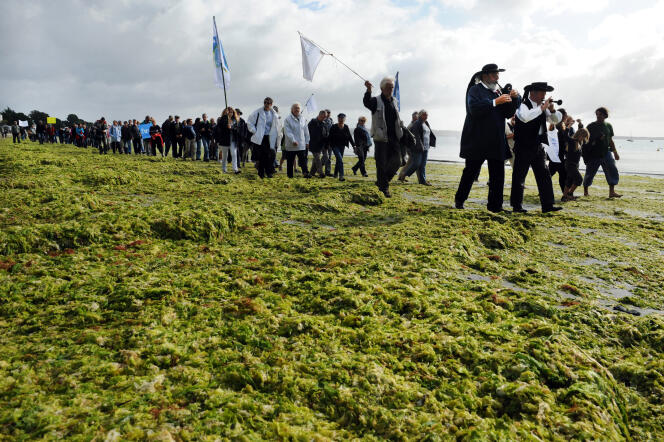 Manifestation, le 18 septembre 2011 sur la plage de Cap Coz à Fouesnant, pour protester contre la prolifération des algues vertes sur les plages bretonnes.