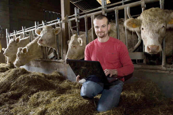 Sylvain Frobert, un éleveur qui utilise le site Web Trouverlebontaureau.com, pose avec ses vaches le 19 décembre 2014 dans sa ferme des Gillands, près de Saint-Prix (Allier). Le site propose une sélection de taureaux bien référencés disponibles pour l’insémination artificielle.