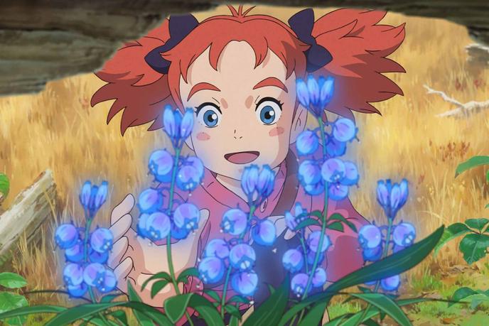 Mary Et La Fleur De La Sorciere Une Fillette Japonaise A L Ecole Des Sorciers