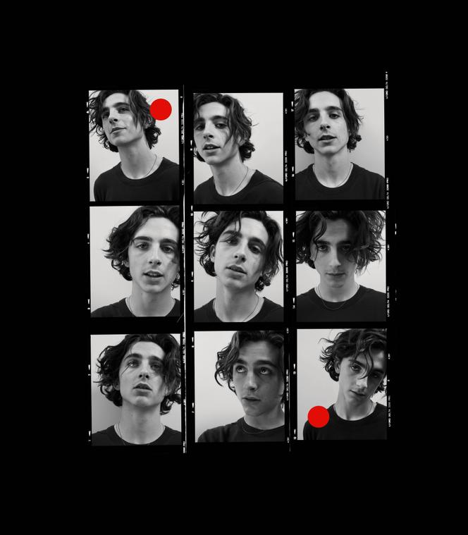 Timothee Chalamet La Douceur De Vivre