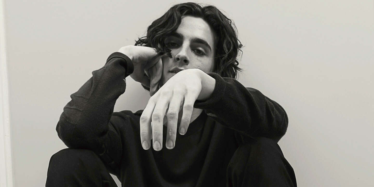 Timothee Chalamet La Douceur De Vivre