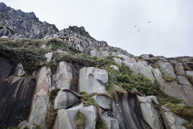 Des falaises de granit, sur l’île d’Aisla Craig, en Écosse, le 8 février.