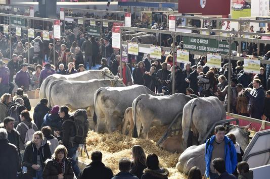 GERARD JULIEN / AFP La 55e édition du Salon de l’agriculture a ouvert ses portes, samedi 24 février à Paris.