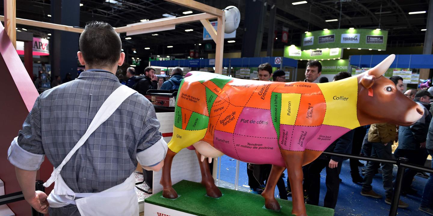 Recevoir Des Lecons Des Ayatollahs De La Religion Anti Viande Est