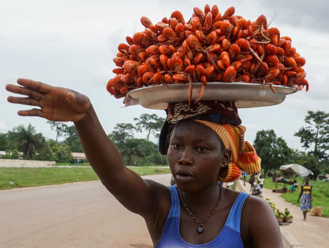 Une vendeuse de langoustines sur le bord de la route au nord d’Abidjan, en juin 2017. Des « femmes travailleuses » issues de l’administration, du milieu agricole et du secteur informel ont créé leur syndicat, pour que leurs préoccupations soient véritablement prises en compte.