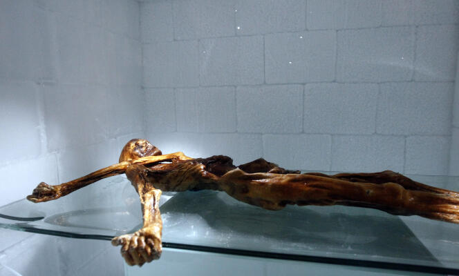 Ötzi a été retrouvé sur le massif de l’Ötzal, en 1991, à 3 200 mètres d’altitude.