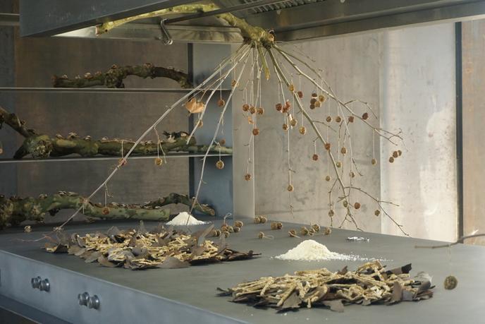 Une performance culinaire réalisée par Anna Burlet, l’artiste aux fourneaux de La Cuisine, lors du vernissage de l’exposition « La Centrale », à Nègrepelisse, le 10 février 2018.