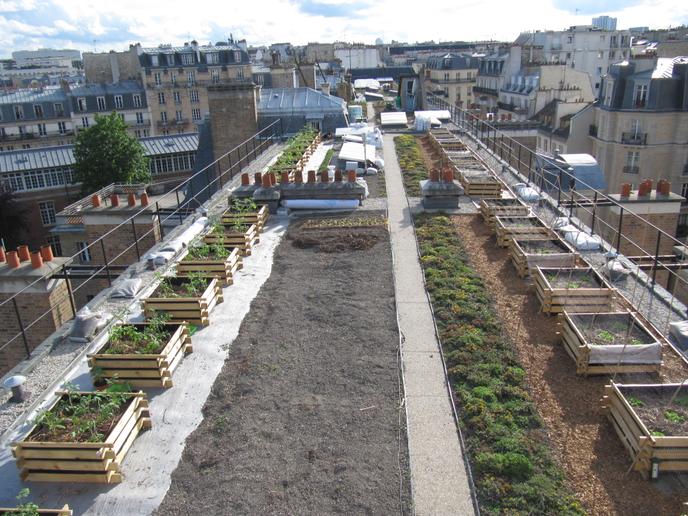 L Agriculture Urbaine Peut Elle Nourrir Les Villes