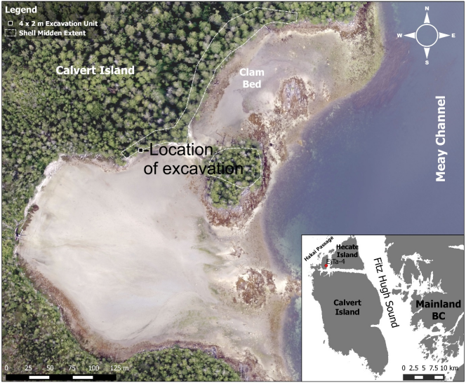 Photographie aérienne des lieux de fouille, sur l’île de Calvert, en Colombie-Britannique.