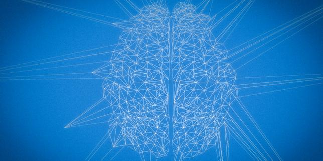 « Les algorithmes d'intelligence artificielle bouchent les horizons des internautes »