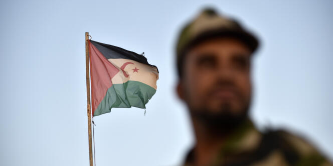 Un soldat du Front Polisario devant les couleurs du drapeau de la République arabe sahraouie démocratique, en octobre 2017.