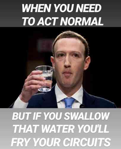 « Quand tu essaies d’agir normalement, mais qu’en avalant cette eau tu crameras tes circuits ». La façon mécanique avec laquelle Mark Zuckerberg a bu son verre d’eau a généré beaucoup de « mèmes ».