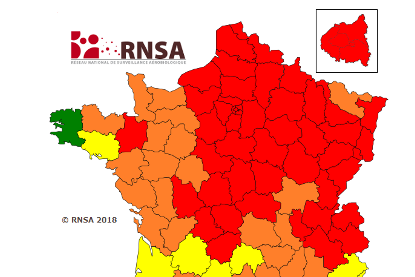 Allergies au pollen : semaine critique en France