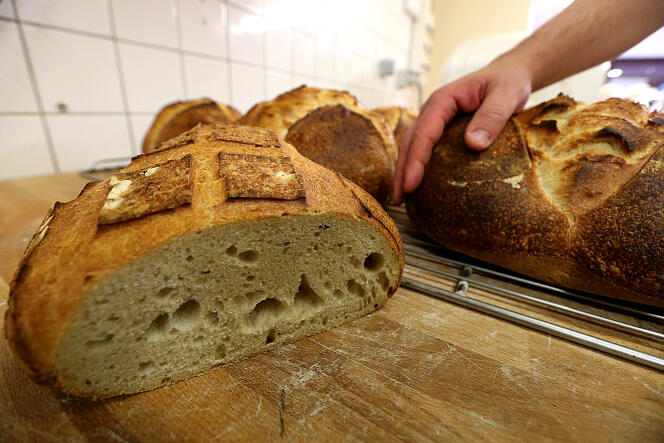 Selon le patron de Lesaffre, un pain sur trois dans le monde est issu du savoir-faire de l’entreprise.