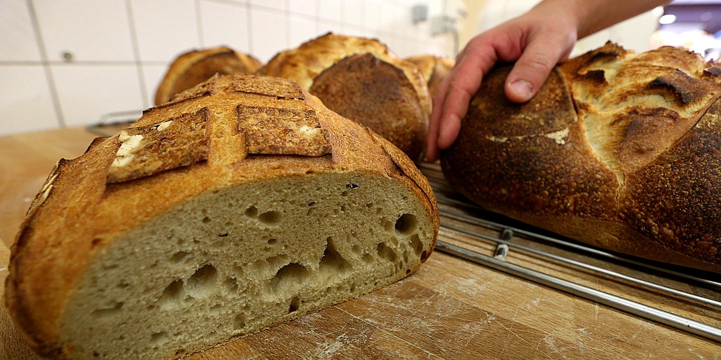 Lesaffre Numero Un Mondial De La Levure Multiplie Les Acquisitions